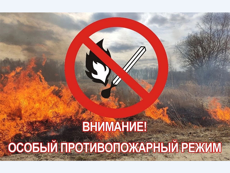 С 6 мая в Шушенском районе введен особый противопожарный режим.