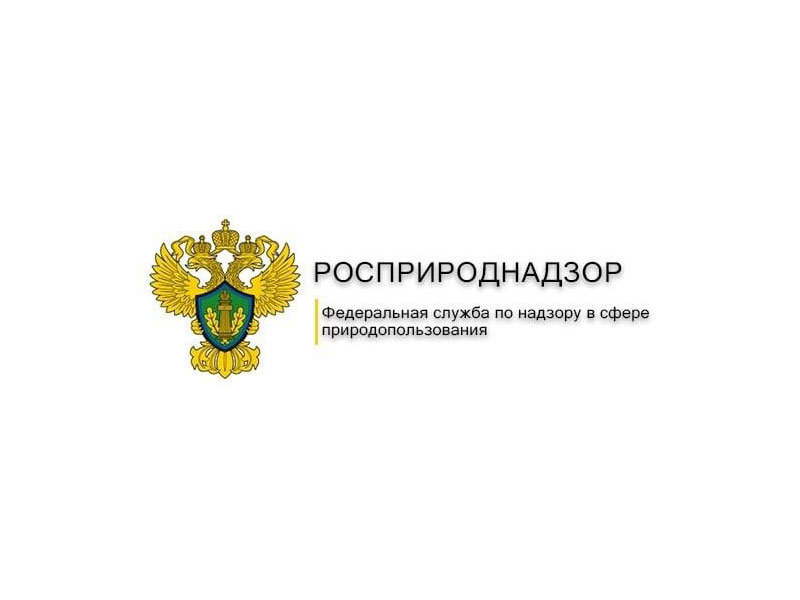 Просветительское мероприятие для предпринимателей.